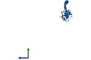 AlphaFold protein structure predicition of Mouse Recombinant Clec4g Protein, UniprotID Q8BNX1