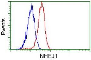 Flow cytometric Analysis of Hela cells, using anti-NHEJ1 antibody (ABIN2453349), (Red), compared to a nonspecific negative control antibody (TA50011), (Blue). (NHEJ1 anticorps)