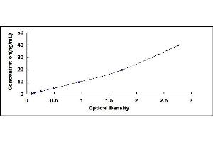Typical standard curve
