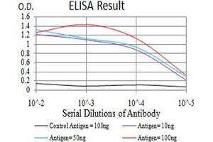 Black line: Control Antigen (100 ng);Purple line: Antigen (10ng); Blue line: Antigen (50 ng); Red line:Antigen (100 ng) (Phospholipase C gamma 1 anticorps  (AA 39-181))