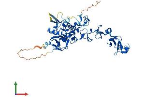 AlphaFold protein structure predicition of Human Recombinant TES Protein, UniprotID Q9UGI8