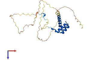 AlphaFold protein structure predicition of Mouse Recombinant Hoxc6 Protein, UniprotID P10629