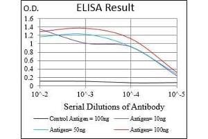 Black line: Control Antigen (100 ng), Purple line: Antigen(10 ng), Blue line: Antigen (50 ng), Red line: Antigen (100 ng), (GAB2 anticorps  (AA 332-476))