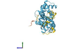 AlphaFold protein structure predicition of Human Recombinant CALB2 Protein, UniprotID P22676