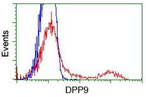 HEK293T cells transfected with either RC224465 overexpress plasmid (Red) or empty vector control plasmid (Blue) were immunostained by anti-DPP9 antibody (ABIN2455302), and then analyzed by flow cytometry. (DPP9 anticorps)