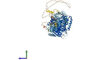 AlphaFold protein structure predicition of Mouse Recombinant Slc12a7 Protein, UniprotID Q9WVL3