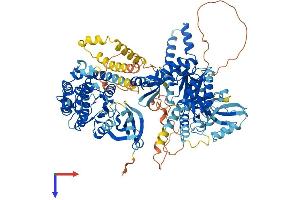 AlphaFold protein structure predicition of Human Recombinant CASK Protein, UniprotID O14936