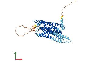 AlphaFold protein structure predicition of Human Recombinant PRLHR Protein, UniprotID P49683