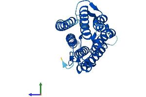 AlphaFold protein structure predicition of Mouse Recombinant Srd5a1 Protein, UniprotID Q68FF9