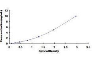 Uracil-DNA Glycosylase (UNG) ELISA Kit
