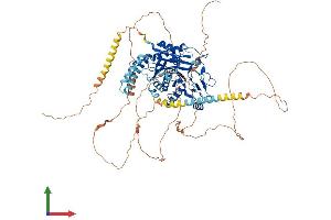AlphaFold protein structure predicition of Mouse Recombinant Ttll6 Protein, UniprotID A4Q9E8