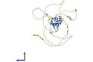 AlphaFold protein structure predicition of Human Recombinant ELK1 Protein, UniprotID P19419