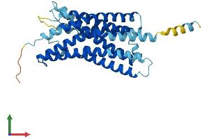 AlphaFold protein structure predicition of Human Recombinant GPR55 Protein, UniprotID Q9Y2T6
