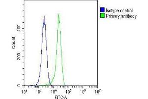 Overlay histogram showing K562 cells stained with (ABIN6242395 and ABIN6577138)(green line).