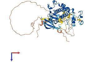 AlphaFold protein structure predicition of Mouse Recombinant Cdk15 Protein, UniprotID Q3V3A1