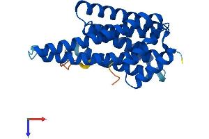 AlphaFold protein structure predicition of Mouse Recombinant Ywhae Protein, UniprotID P62259