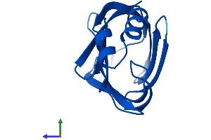 AlphaFold protein structure predicition of Human Recombinant CRABP2 Protein, UniprotID P29373