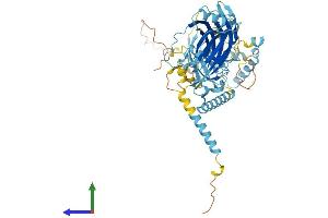 AlphaFold protein structure predicition of Human Recombinant MKS1 Protein, UniprotID Q9NXB0