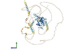 AlphaFold protein structure predicition of Human Recombinant YTHDC1 Protein, UniprotID Q96MU7