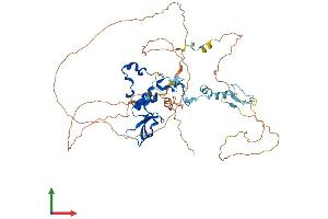 AlphaFold protein structure predicition of Mouse Recombinant Cnot2 Protein, UniprotID Q8C5L3