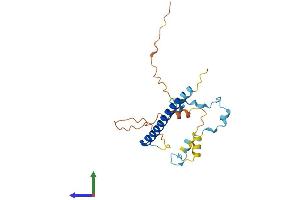 AlphaFold protein structure predicition of Human Recombinant MBD3L1 Protein, UniprotID Q8WWY6