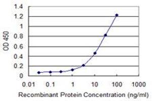 Detection limit for recombinant GST tagged CD3EAP is 0.