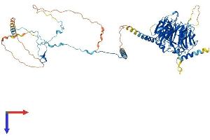 AlphaFold protein structure predicition of Human Recombinant DNAI1 Protein, UniprotID Q9UI46