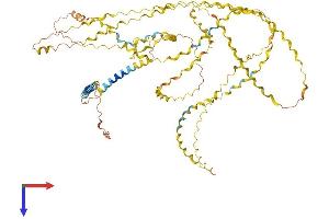 AlphaFold protein structure predicition of Mouse Recombinant Col25a1 Protein, UniprotID Q99MQ5