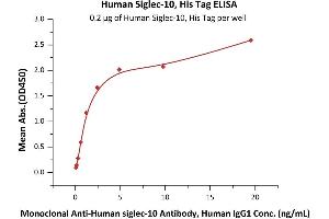 Immobilized Human Siglec-10, His Tag (ABIN6973263) at 2 μg/mL (100 μL/well) can bind Monoclonal A siglec-10 Antibody, Human IgG1 with a linear range of 0. (SIGLEC10 Protein (AA 17-546) (His tag))