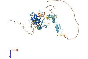 AlphaFold protein structure predicition of Human Recombinant PRDM12 Protein, UniprotID Q9H4Q4