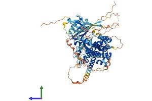 AlphaFold protein structure predicition of Mouse Recombinant Rgl3 Protein, UniprotID Q3UYI5