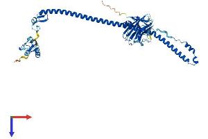 AlphaFold protein structure predicition of Mouse Recombinant Trim11 Protein, UniprotID Q99PQ2