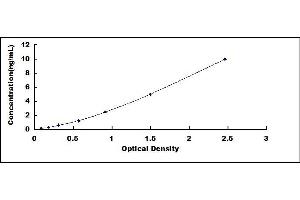 Typical standard curve (CALB1 Kit ELISA)