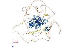 AlphaFold protein structure predicition of Human Recombinant CBLB Protein, UniprotID Q13191