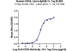 Immobilized Human CD24 at 0.