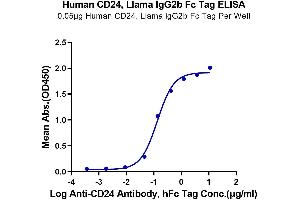 Immobilized Human CD24 at 0. (CD24 Protein (AA 27-59) (Llama Fc Tag))