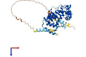 AlphaFold protein structure predicition of Mouse Recombinant St8sia6 Protein, UniprotID Q8K4T1