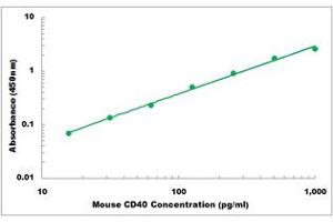 Representative Standard Curve (CD40 Kit ELISA)
