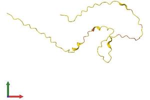 AlphaFold protein structure predicition of Human Recombinant SPATA8 Protein, UniprotID Q6RVD6