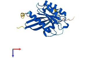 AlphaFold protein structure predicition of Human Recombinant RAB1B Protein, UniprotID Q9H0U4
