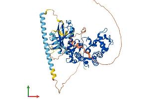 AlphaFold protein structure predicition of Mouse Recombinant Srpk3 Protein, UniprotID Q9Z0G2