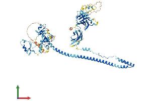 AlphaFold protein structure predicition of Mouse Recombinant Trim36 Protein, UniprotID Q80WG7