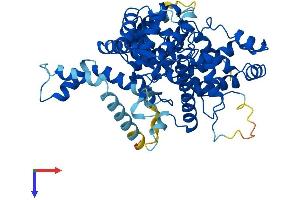 AlphaFold protein structure predicition of Human Recombinant TBC1D19 Protein, UniprotID Q8N5T2
