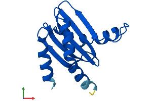 AlphaFold protein structure predicition of Mouse Recombinant Lamtor3 Protein, UniprotID O88653