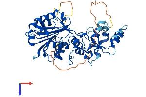 AlphaFold protein structure predicition of Human Recombinant TRDMT1 Protein, UniprotID O14717