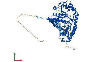 AlphaFold protein structure predicition of Human Recombinant TAT Protein, UniprotID P17735 (Tat (AA 1-454) protein (His tag))