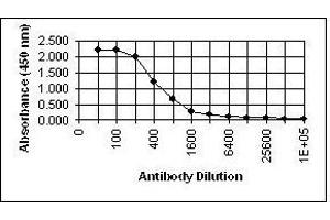 ELISA image for anti-Glycoprotein H (gH) antibody (ABIN265605) (Glycoprotein H (gH) anticorps)