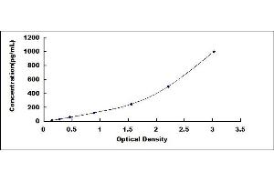 Typical standard curve