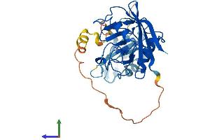 AlphaFold protein structure predicition of Mouse Recombinant Ppie Protein, UniprotID Q9QZH3