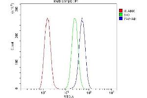 Flow Cytometry analysis of A549 cells using anti-YWHAE antibody (ABIN7599166).